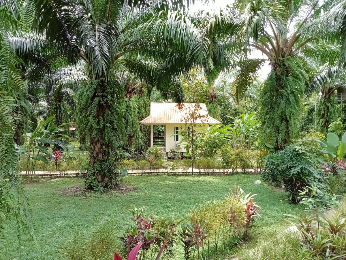 Khao Sok Palm Garden Resort Khao Sok National Park Exterior photo