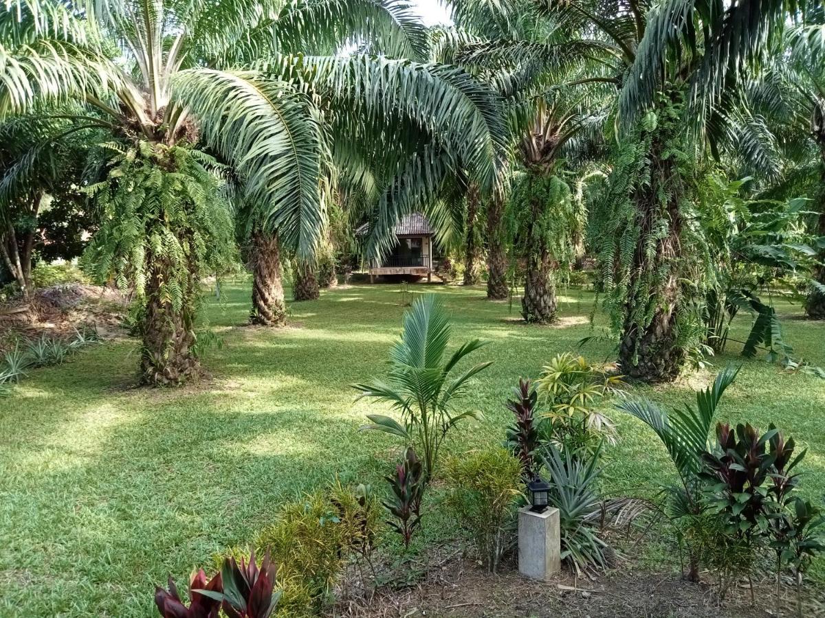 Khao Sok Palm Garden Resort Khao Sok National Park Exterior photo
