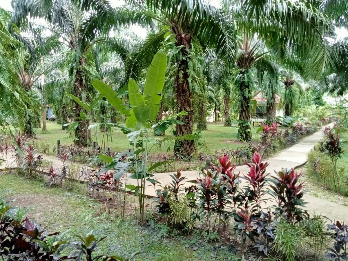 Khao Sok Palm Garden Resort Khao Sok National Park Exterior photo