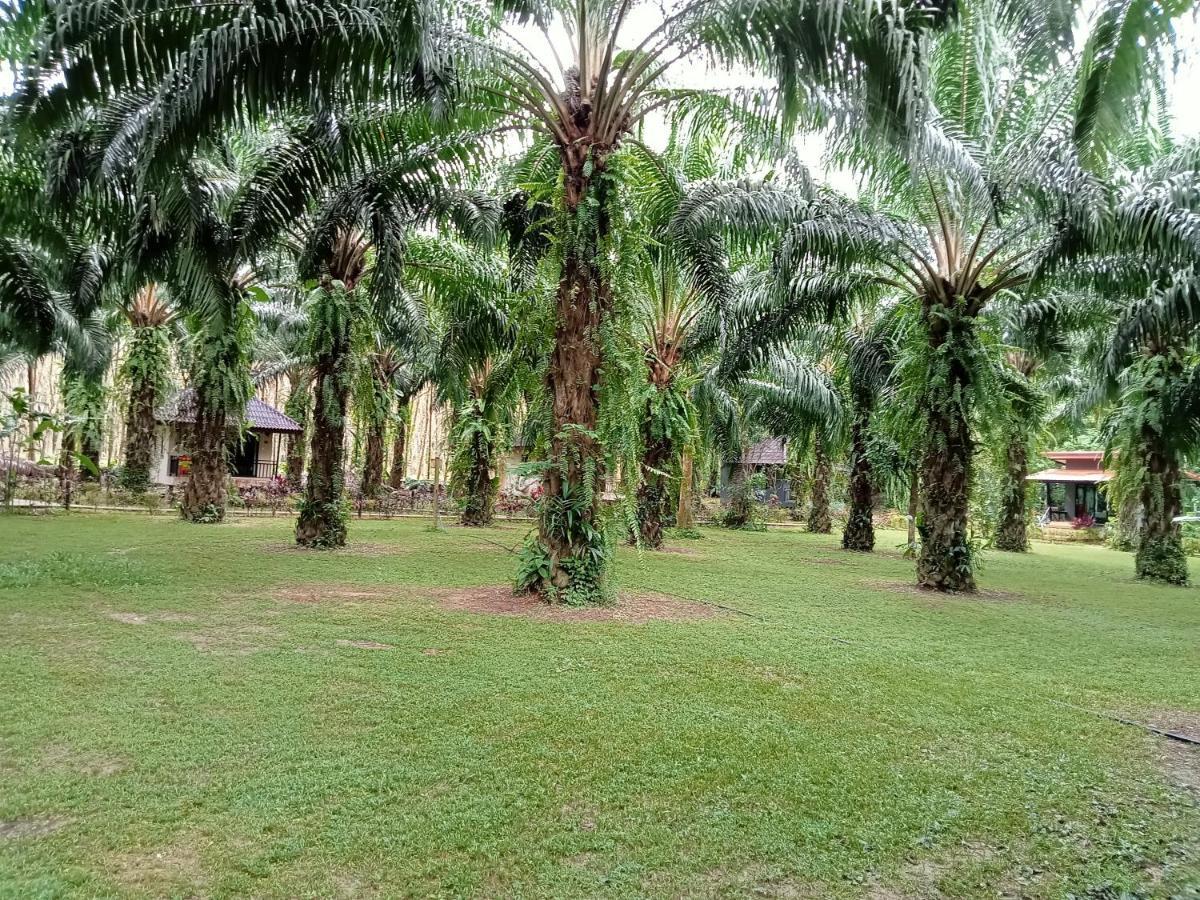 Khao Sok Palm Garden Resort Khao Sok National Park Exterior photo