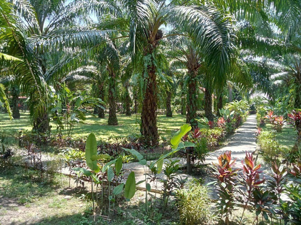 Khao Sok Palm Garden Resort Khao Sok National Park Exterior photo