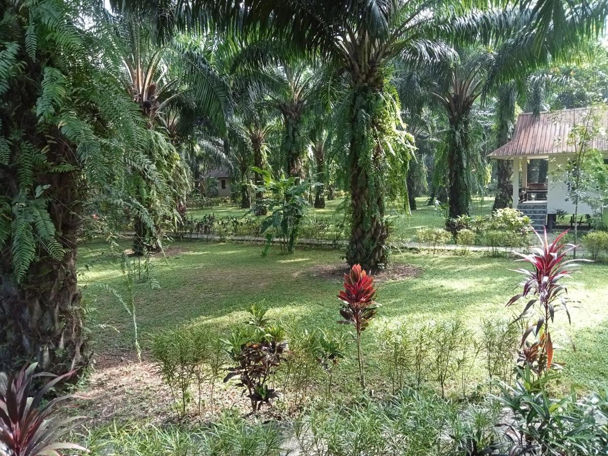 Khao Sok Palm Garden Resort Khao Sok National Park Exterior photo