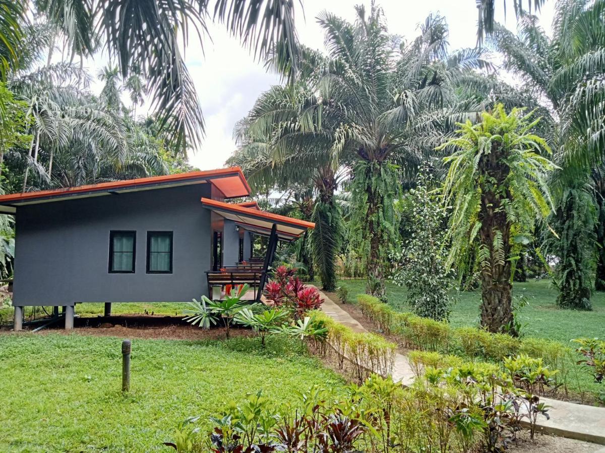 Khao Sok Palm Garden Resort Khao Sok National Park Exterior photo