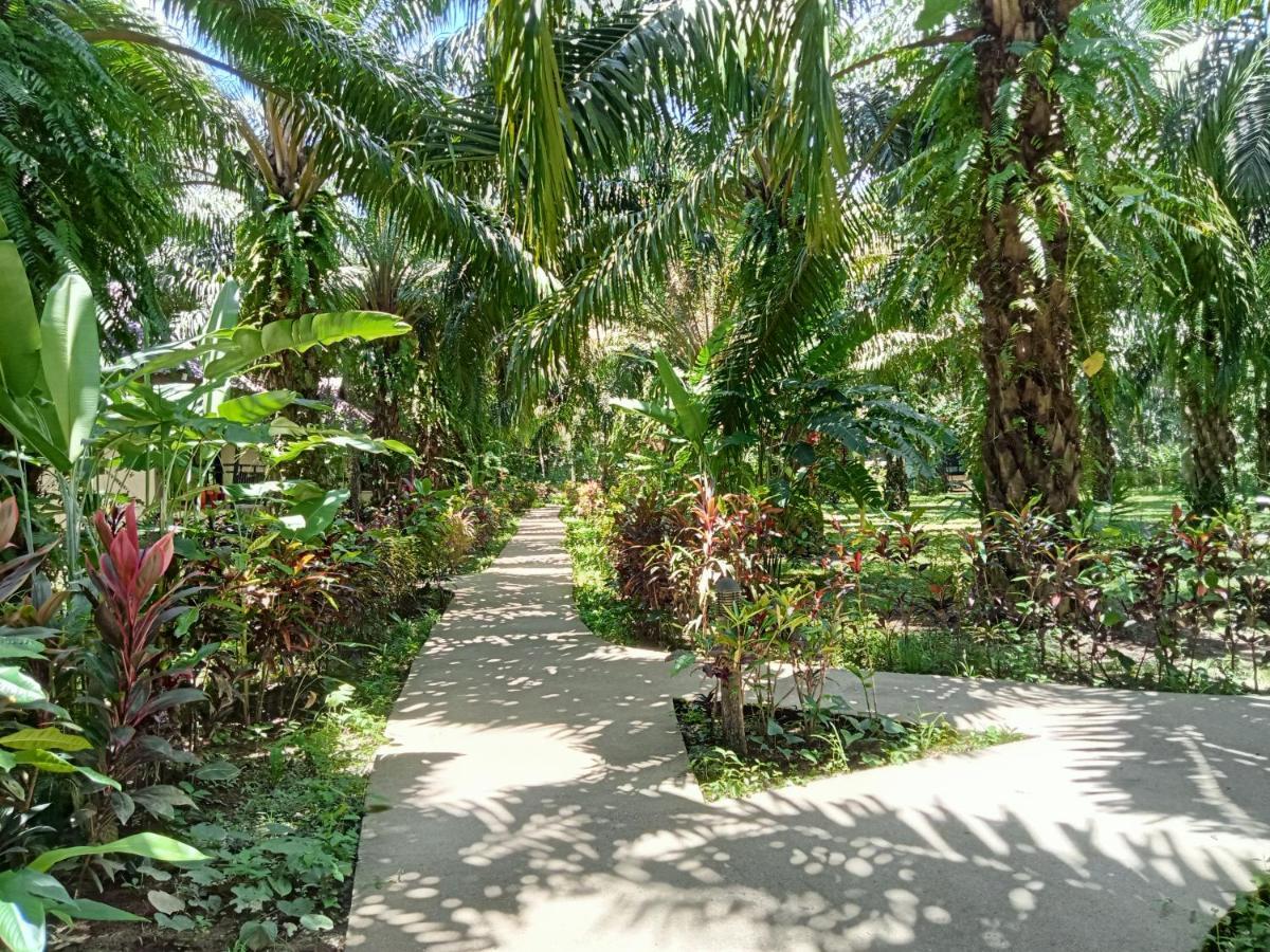 Khao Sok Palm Garden Resort Khao Sok National Park Exterior photo