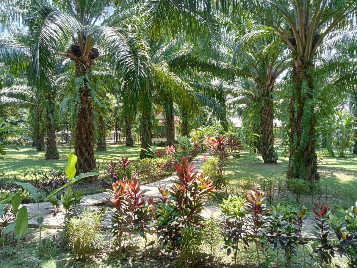 Khao Sok Palm Garden Resort Khao Sok National Park Exterior photo